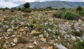 Trail Walking Feuilla - Feuilla Caves  - Photo 16