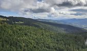 Trail Walking Le Valtin - VOSGES 2023 - Col de la Schlucht - Les Rochers de Hirschteine - Photo 15