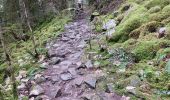 Trail Walking Gérardmer - Tour de Merelle et saut de la Bourrique - Photo 4