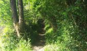 Trail Walking Curvalle - Villeneuve sur Tarn Bonneval - Photo 2