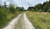 Tour Wandern Feitweiler - Tintange 25,3 km - Photo 10