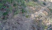 Trail Walking Bédarrides - Bedarrides sur les hauteurs - Photo 6