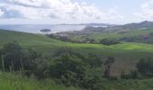 Tour Wandern Sainte-Marie - Boucle La Philippe - Morne Tringle - Photo 12