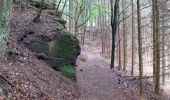 Trail On foot Blieskastel - Vogel-Rundwanderweg Lautzkirchen - Photo 3
