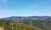 Trail Walking Les Plantiers - coeur des cevennes - Photo 9