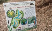 Trail Walking Les Arcs-sur-Argens - apie de Raynaud forêt des arcs - Photo 17