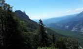 Randonnée Marche Romeyer - Dieois - Rochers de plautret - Jul20 - Photo 10