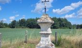 Tour Wandern Meix-devant-Virton - rando gerouville 6-07-2023 - Photo 4