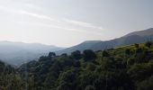 Excursión Senderismo Itxassou - Itxassou (pas de Roland) - Photo 17
