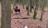 Randonnée Randonnée équestre Bastogne - Tripoux décembre 2022 - Photo 6