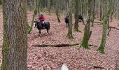 Excursión Paseo ecuestre Bastoña - Tripoux décembre 2022 - Photo 6