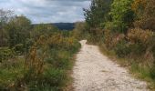 Trail Walking Rosnoën - Ile d'Arun  - Photo 6