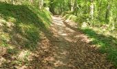 Trail Walking Valorbiquet - st  - Photo 5