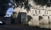 Trail Walking Chenonceaux - Chenonceaux - Photo 5