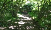 Tocht Stappen Orcines - Ceyssat,Puy de Dôme  - Photo 4