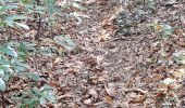 Trail Walking Rontignon - coteaux de Rontignon  - Photo 1