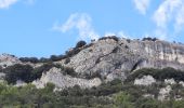 Randonnée Marche Allègre-les-Fumades - Château et côte d'Allègre via Chapelle St Saturnin - Photo 6