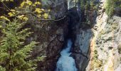 Tour Zu Fuß Gosau - Wanderweg 613 - Photo 7