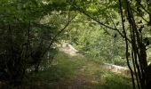 Randonnée Marche Châtillon-en-Diois - Circuit des Baumes - Pont de vachères-Soubreroche - Boulc - Photo 6