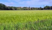 Tour Wandern Morsang-sur-Seine - Boucle 30 km autour de Morsang sur Seine - Photo 14