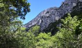 Tour Wandern La Palud-sur-Verdon - Chemin Martel  - Photo 8