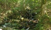 Trail Walking Todtnau - wasserfall - Photo 10