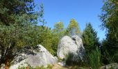 Randonnée A pied Fournols - fournols les pierres folles - Photo 1