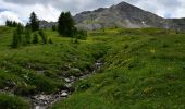 Randonnée Marche Colmars - Pk Ratery - Col des Champs - Photo 5