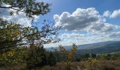 Tour Wandern Chevagny-les-Chevrières - 12.09.2021 - Photo 1