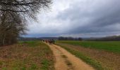 Trail Walking Walcourt - Balade à Yves-Gomezée - Walcourt - Photo 6