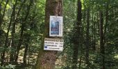 Tour Wandern Roppweiler - 20200627 - Photo 16