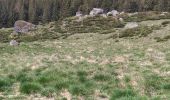 Tocht Stappen Laveissière - La veissiere Puy de seycheuse - Photo 4