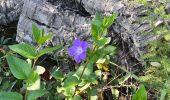 Tocht Stappen Sainte-Maxime - Vers Peigros - Photo 16