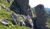 Tour Wandern Beuil - Mont Demant Par Col de l'Espaul et col des Moulinés, Valberg - Photo 7