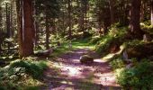 Randonnée Marche Soultzeren - Boucle Schildmatt / Lac vert / Auberge du Tanet - Photo 1
