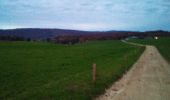Trail Walking Marchaux-Chaudefontaine - Chaudefontaine - Photo 2