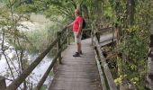 Trail Walking Giffaumont-Champaubert - LAC dur DER ... la forêt, la terre et l'eau.  - Photo 6