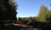 Trail Walking Dampleux - en forêt de Retz_80_sur la Route Tortue et la Route Droite - Photo 7