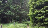 Tour Wandern Linthal - Linthal boucle par col de lauchen - Photo 8