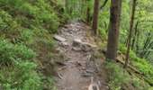 Trail Walking Malmedy - Canyon des Trôs-Marets   - Photo 13