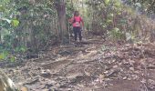 Tour Wandern La Trinité - parcours sportif de la pointe rouge - Photo 5