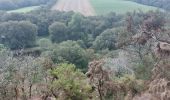 Trail Walking Quistinic - PR_56_Quistinic_AA_01_Poul-Fetan_Circuit1b_20230909 - Photo 13