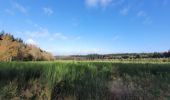 Trail Walking Vielsalm - rando bihain 19-11-2023 - Photo 15