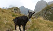 Tocht Te voet Carona - Sentiero delle Orobie Occidentali - Tappa 6 - Photo 9