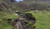 Tour Wandern West Cork - Glengarriff - Ardrigole - Photo 12