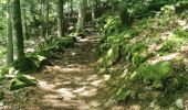 Trail Walking Cauterets - Pont d'Espagne, lac de gaube depuis cauterets  - Photo 12