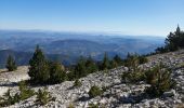 Trail Walking Beaumont-du-Ventoux - ventoux par les cretes - Photo 3