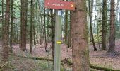 Trail Walking Oyonnax - oyonnax apremont et lac genin - Photo 6
