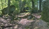 Excursión  Saverne - Château du haut barr Saverne  - Photo 9