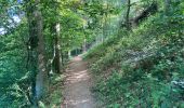 Trail Walking Hamois - Sentiers d'Art / Natoye -> Gesves / 2020-05-30 / 22 km - Photo 3